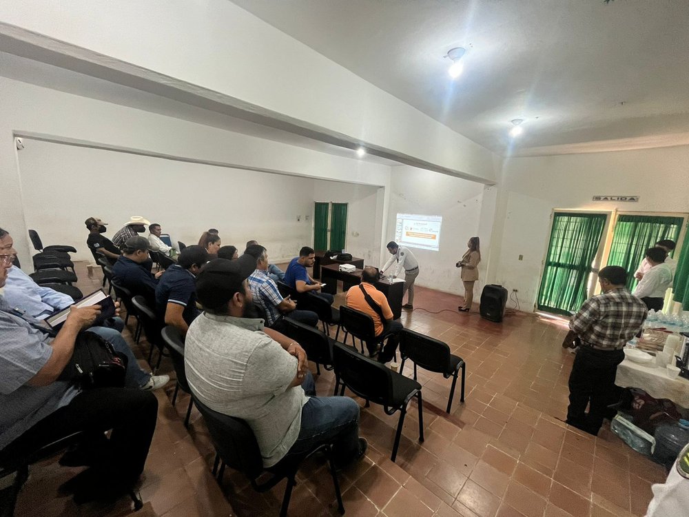 Segunda etapa del curso
